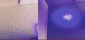 What Causes These Green Footsteps? And Can They Be Considered As  Fingerprints For Evidence? : R/Phasmophobiagame