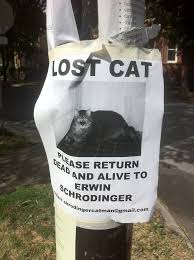 I just want a photo and the word lost and the telephone number and i have attached the amended version of your poster as per your detailed instructions. 22 Hilarious And Disturbing Missing Cat Posters
