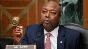 Could Trump VP pick be nice-guy Tim Scott? South Carolinians doubt it
