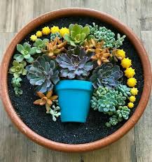 Creative Ideas To Make Your Succulents More Beautiful Succulent Garden Diy Dish Garden Succulents