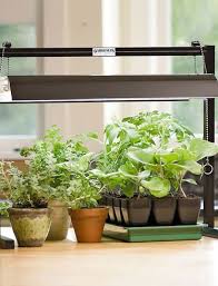 I D Love To Have A Real Plant Light For Seedlings Indoor Grow Lights Grow Lights For Plants Grow Lights