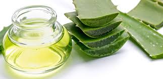 Aloe vera i̇le cilt bakımı. Aloe Vera Nasil Kullanilir Saglik Ve Cilt Icin Faydalari Nelerdir