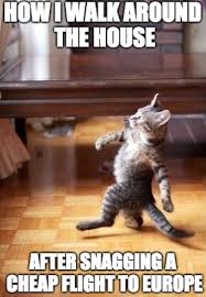 How I Walk Around The House After Snagging A Cheap Flight To Europe Baby Animal Videos Cute Baby Animals Funny Animal Memes