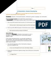 You may not be perplexed to enjoy every books collections explorelearning student exploration human karyotyping answers that we will categorically offer. Untitled Document Karyotype Chromosome