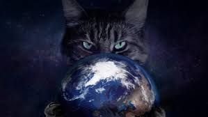 Check spelling or type a new query. Space Cat Earth Hd Wallpapers Desktop And Mobile Images Photos
