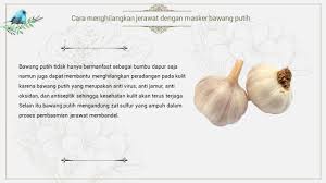 Cara menghilangkan jerawat untuk wanita. 17 Cara Menghilangkan Jerawat Secara Alami Pria Dan Wanita Jerawat Bawang Putih Jamur