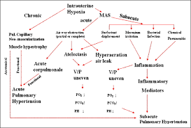 Core Concepts Meconium Aspiration Syndrome Pathogenesis And Current Management American Academy Of Pediatrics