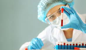 Mapa de testes e exames 2020/2021. Hospital Veterinario Animaniac S Exames Laboratoriais