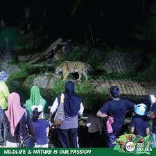Trip on 10th october 2015. Night Safari Hi Zoo Melaka Taman Burung Facebook