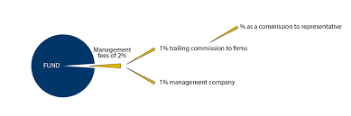 Under current income tax laws, switching in mutual funds attracts capital gains tax (photo: Mutual Fund Fees Amf