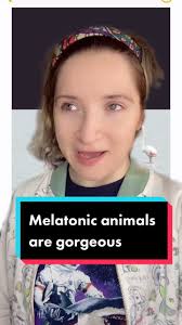 Melanistic animals are amazing! #melanistic #coolanimals #wowanimals  #animalfacts