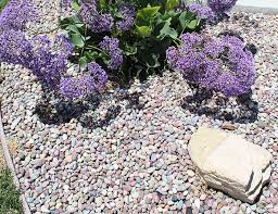 Check spelling or type a new query. Pami Rainbow Pebbles Stone Landscape Stone Material Supply