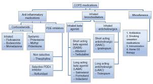 Image result for Medications in COPD Management