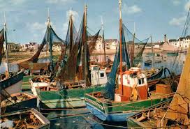 Malamoks Dans Le Port De Lesconil Finistere Pays Hotel Du Port