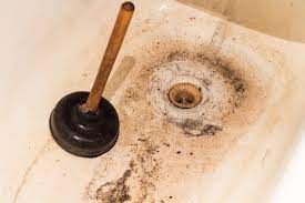 This works because the pressure from the plunger will dislodge stuck food. The Potential Problems Of A Dirty Drain