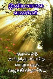 Pin On Tamil Good Morning Quotes