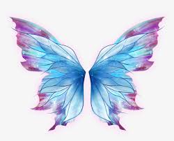 Maybe you would like to learn more about one of these? Butterfly Drawing Art Fairy Butterfly Wings Png Png Image Transparent Png Free Download On Seekpng