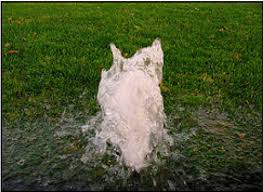 Great for flowers and small plants, this sprinkler head is sure to make them strong and beautiful. Common Sprinkler Problems Resource Central