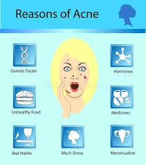 acne reasons skin problems and diseases beauty infographics