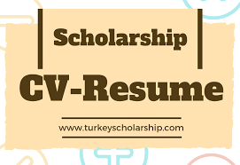 Download as pdf, txt or read online from scribd. Cv For Scholarship Resume For Scholarship Turkey Scholarships