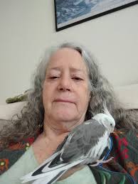 My collection so far… missing a few 606D but will keep going 😜 and need to  replace Snow White I have the gingerbread boy and three Billy goats gruff 