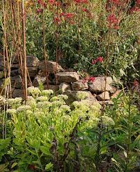 Neulich Im Staudenbeet Die Spornblume Will Es Nochmal Wissen Und Die Fetthenne Steht In Den Startlochern Die Bienen Wirds Freuen Gibt S Doc Plants Instagram