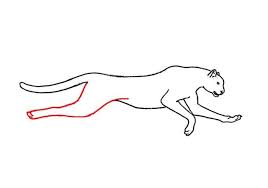 This is quite easy method so must give it a try. How To Draw A Cheetah Running Step By Step Part 3 Easy Animals 2 Draw