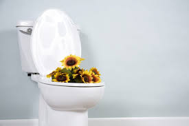 Check spelling or type a new query. Comment Deboucher Les Wc Avec Une Bouteille En Plastique Izi By Edf