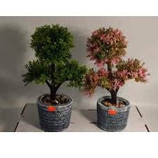 Artificial Bonsai Tree Manufacturer From Mumbai