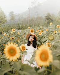 Bunga cantik ini mudah mati saat musim kemarau, namun dapat segera tumbuh kembali ketika hujan tiba. Nggak Perlu Ke Luar Negeri Untuk Foto Bareng Bunga Bunga Cantik Di Malang Raya Ada 4 Spot Ini Malang Strudel