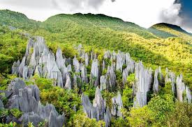 Similajau national park is an offbeat yet extremely attractive place in malaysia. Gunung Mulu National Park Malaysia Pics