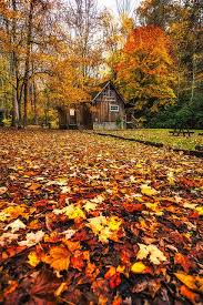 My family stayed here this weekend and had a lovely time. West Virginia Cabin In The Fall By Michael Matti Cabins In West Virginia Virginia Fall West Virginia Photography