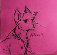Doodle Of Iris I Did At School She S Wearing A Hoodie Lol Kat Otakucat Cat Art Cat Drawing Sketches