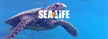 Sea Life Aquariums Coupons Promo Codes November 2020