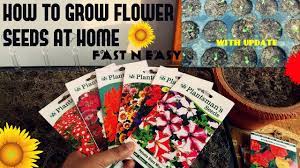Most annual flower seeds are easy to start indoors, and by starting your own bedding plants, you'll not only save money, but you'll also be able to grow hundreds of transplant the seedlings outdoors after all danger of frost has passed. How To Grow Flower Seeds Fast With Update Youtube