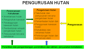 Yaitu proposal yang pada umumnya digunakan pada dunia bisnis dimana isi proposal kegiatan seringkali digunakan untuk pengajuan permohonan dana dari pihak tertentu. Https Auriga Or Id Cms Uploads Pdf Related 3 0 2 Kajian Kpk 2010b Sistem Perencanaan Dan Pengelolaan Kawasan Hutan Dit Plano Kemenhut En Pdf