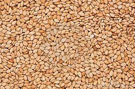 Image result for Sesamum