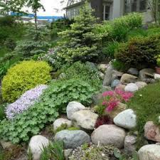 Yard With Hillside Landscaping Google Search Rock Garden Design Backyard Landscaping Backyard Garden Landscape