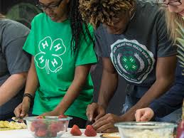 If you're like many people, you might have a monthly rotation of dinner entrees that you regularly cycle through. Cooking Activities 4 H