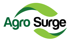 The country maintains a constant economical scale due to the. Sennego Com The Largest Business Ecosystem