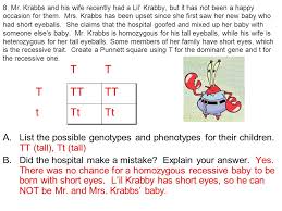T t t tt tt tt tt yes, they could not have a short eyeballed kid t. Bikini Bottom Genetics Ppt Video Online Download