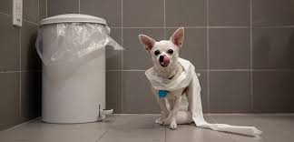 You can see how to get to mooresville rescue squad on our website. Lake Norman Humane Of Mooresville North Carolina