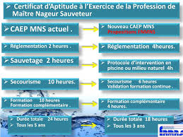 Ppt Organisation De La Securite En Piscine Powerpoint Presentation Id 5628937