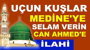 Ilahi Ucun Kuslar Medine Ye Selam Verin Can Ahmed E Murat Gunes Youtube