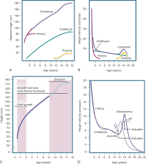 Growth Acceleration An Overview Sciencedirect Topics