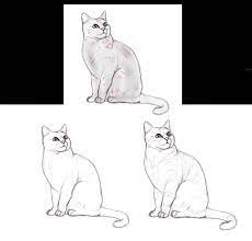 Comment dessiner un chat - Blog - Dessindigo