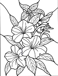Here are a few shade flowers that grow happily despite lack of abundant direct sunlight. Free Printable Hibiscus Coloring Pages For Kids