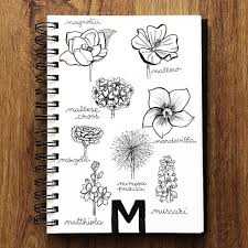 Bullet Journal Drawing Ideas Magnolia Drawing Mallow Drawing Maltese Cross Drawing Mandevillan Drawing Flower Drawing Floral Doodle Art Drawings Beautiful