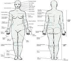 This article looks at female body parts and their functions, and it provides an interactive diagram. Female Body Parts Description Human Sex Education
