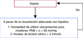 Fuente de financiamiento / patrocinador. Definicion Operacional Del Choque Septico Pam Presion Arterial Media Download Scientific Diagram